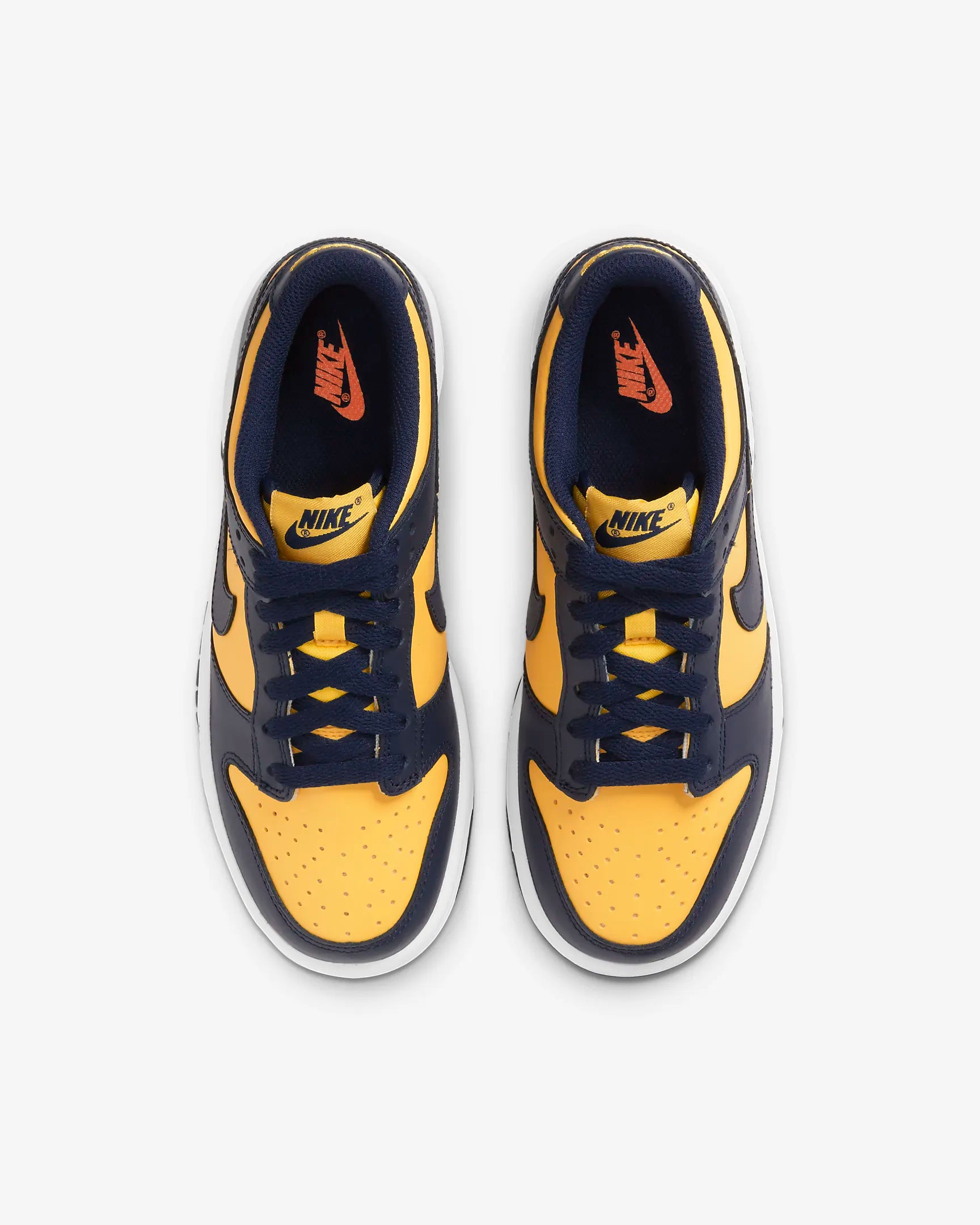 Nike Dunk Low Michigan