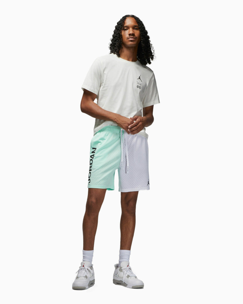 Jordan Dri-FIT Sport BC Mesh Graphic Shorts