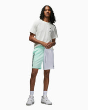 Jordan Dri-FIT Sport BC Mesh Graphic Shorts