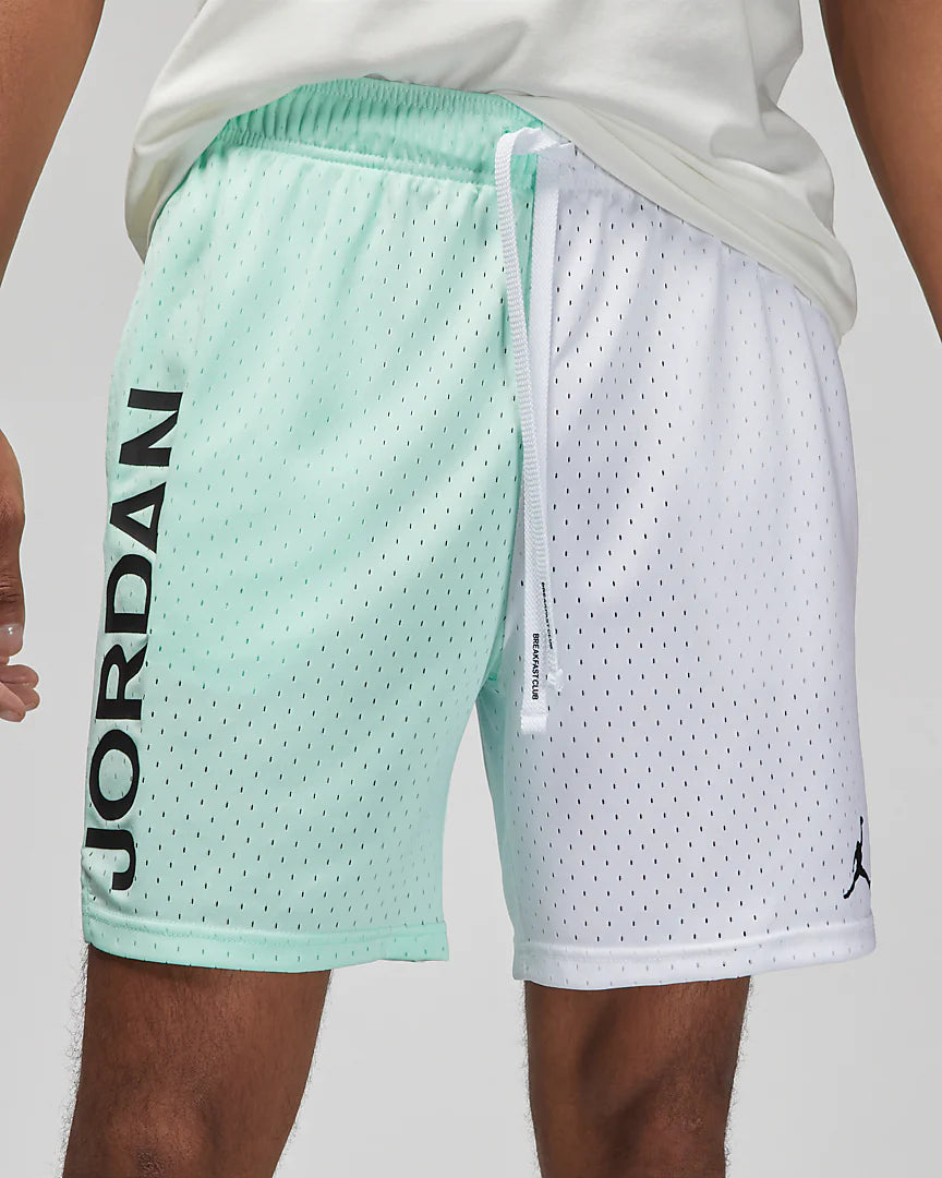 Jordan Dri-FIT Sport BC Mesh Graphic Shorts